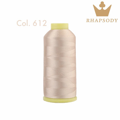 Fil à Broder en Polyester 40WT 120D/2 de 5000m, pour Machine Brother/Singer, Couture Domestique, Couleurs Variées de Bonne Qualité