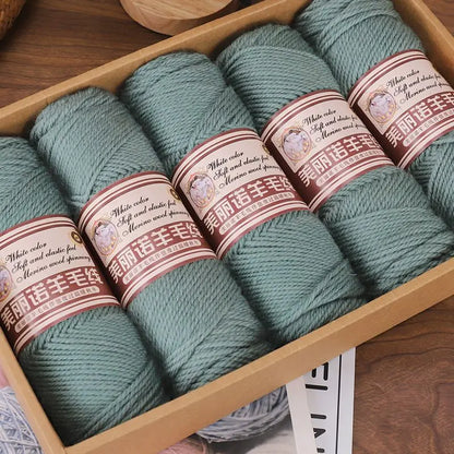 Fil de laine mérinos épais au Crochet à la main, 500 g/ensemble, pour chapeaux, manteaux, pulls, fil de laine mérinos doux pour la peau, gonflé, doux et chaud