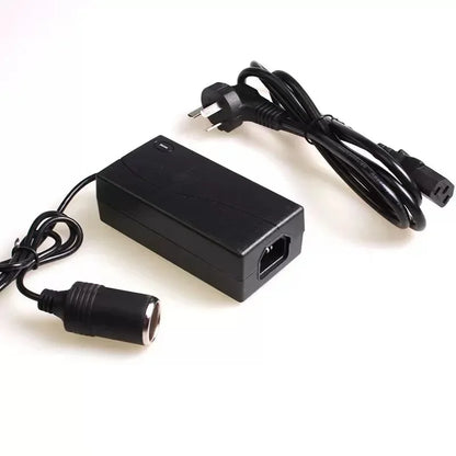 Réfrigérateur de voiture portable, mini réfrigérateur, congélateur, 12V DC, réfrigérateur enfichable, réfrigérateur 6L, refroidisseur thermoélectrique pour fruits