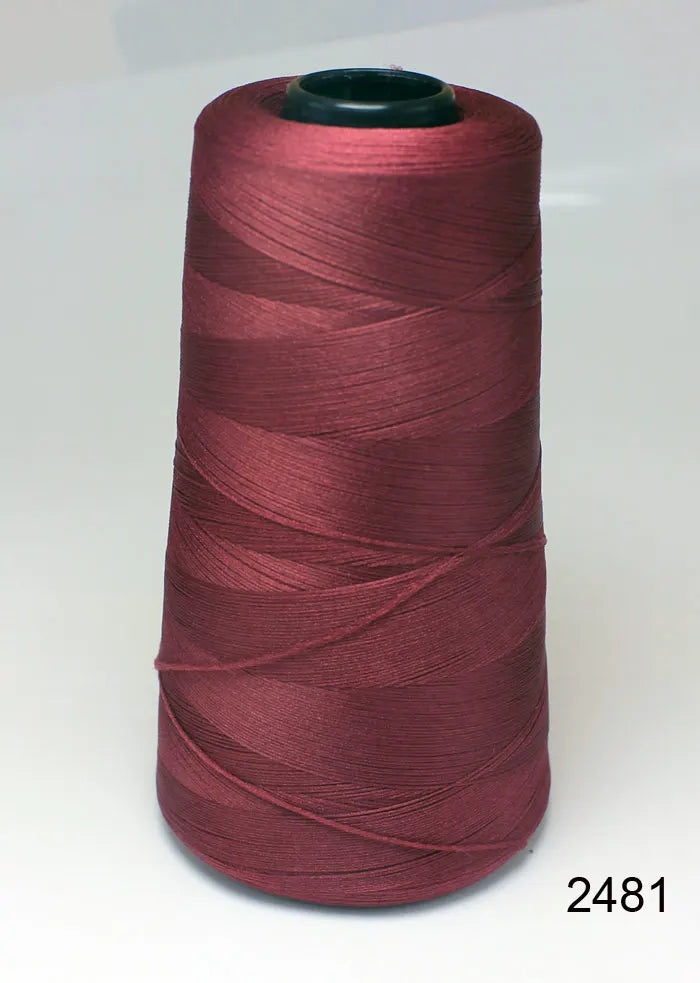 Fil de nylon à haute élasticité en polyester de 3000 mètres - Fil de surjet dense 200D pour rideaux, sous-vêtements et emballage décoratif