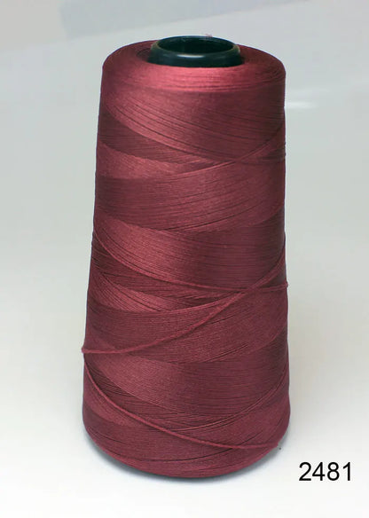 Fil de nylon à haute élasticité en polyester de 3000 mètres - Fil de surjet dense 200D pour rideaux, sous-vêtements et emballage décoratif