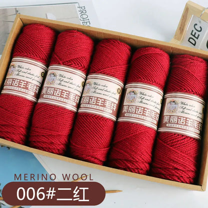 Fil de laine mérinos épais au Crochet à la main, 500 g/ensemble, pour chapeaux, manteaux, pulls, fil de laine mérinos doux pour la peau, gonflé, doux et chaud