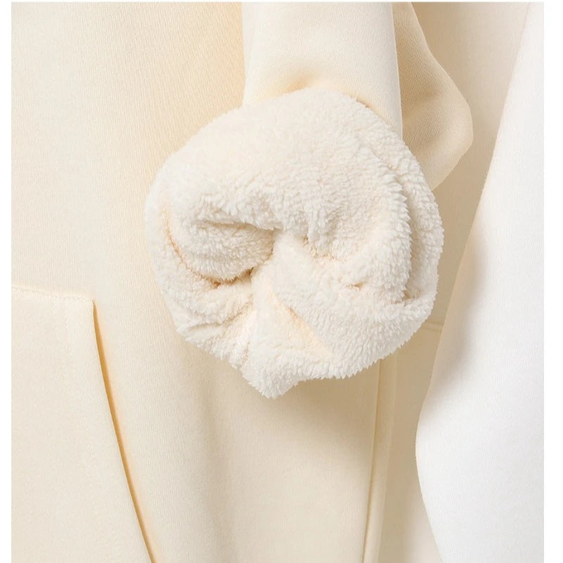 Sweat à capuche épais en coton épais pour homme, personnalisé avec Logo de votre marque, couleur unie, haute qualité, 500GSM, imprimé à faire soi-même, hiver