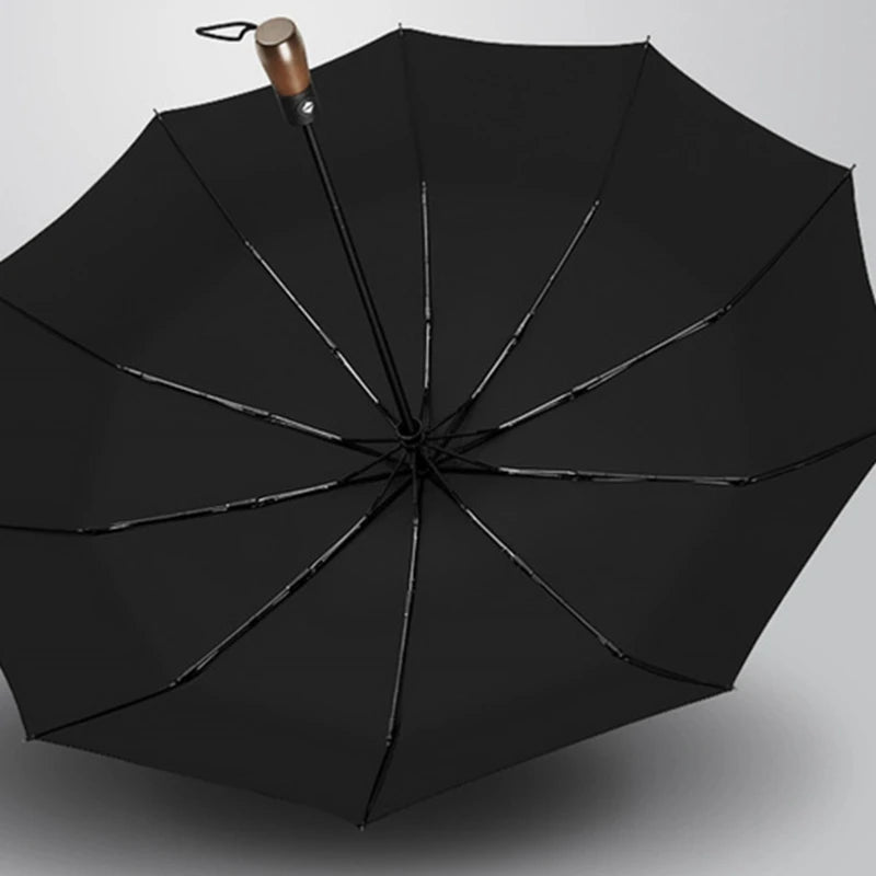 Parapluie de voiture pour BYD Composer Wang U8, accessoires de voiture, outils automobiles, 2023-2025
