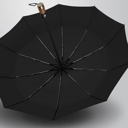 Parapluie de voiture pour BYD Composer Wang U8, accessoires de voiture, outils automobiles, 2023-2025
