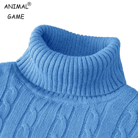 Pull tricoté à manches longues pour hommes, coupe cintrée, col roulé, pull décontracté, haut basique et lourd, hiver