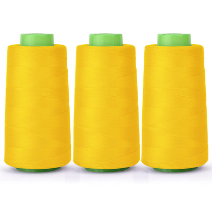 Fil à coudre bord bande Nylon élasticité fil 3000 Yards fil 100D/2 fil bord couture fil soie élastique fil